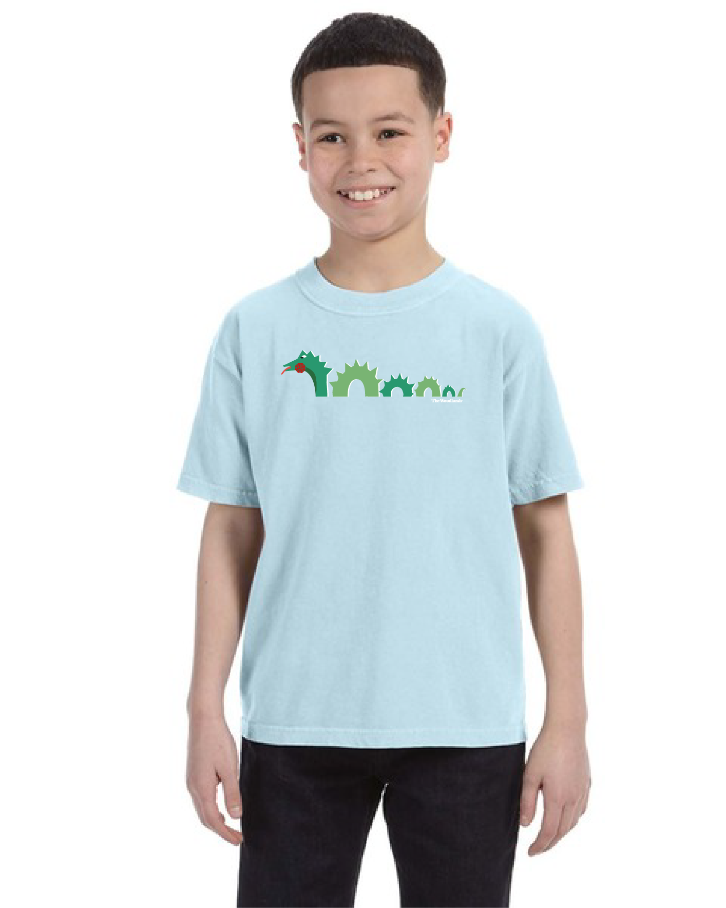 The Woodlands Dragon Youth Tee